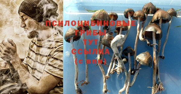 бошки Балахна
