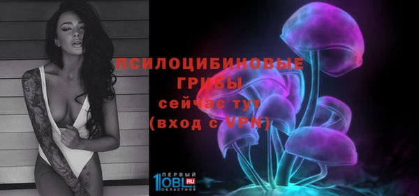 бошки Балахна