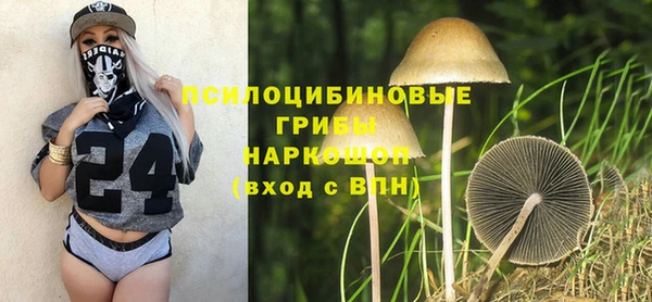 бутик Снежногорск