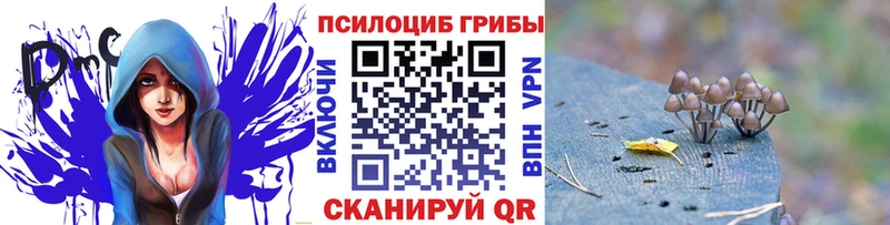 Псилоцибиновые грибы GOLDEN TEACHER  наркотики  Ленск 